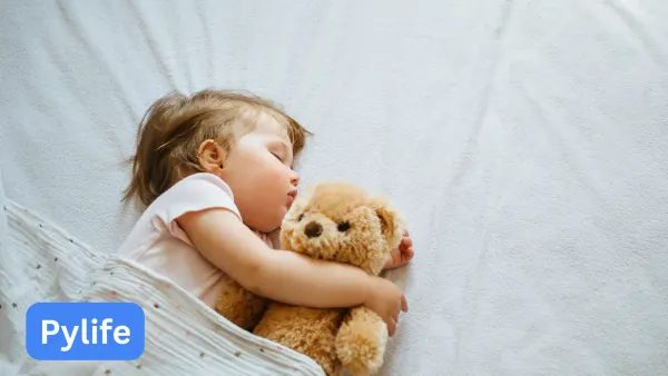 The Benefits of Grounding Sheets Why You Should Get One